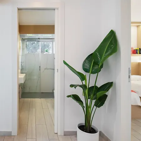 Puravista Home *
